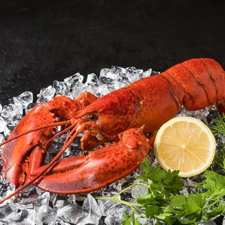 캐나다 자숙 랍스터 4.54kg 10-11미 냉동 랍스타 이미지