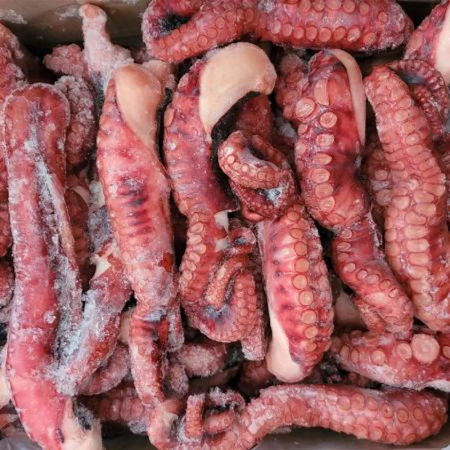 자숙 문어족 200/300 10kg 1박스 필리핀산(일반) 이미지