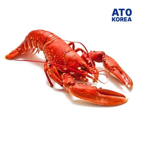 캐나다 자숙 랍스터 4.54kg 10-11미 냉동 랍스타