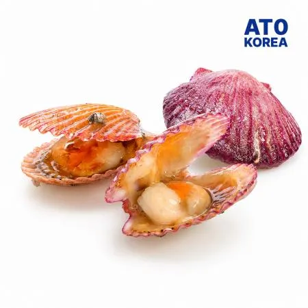 국산 냉동 홍가리비 2kg 대용량 업소용 가리비 구이 찜