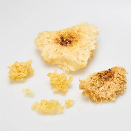 자연건조 백목이버섯 1kg 이미지