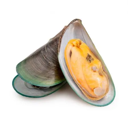 그린홍합 M 800g 1팩 이미지