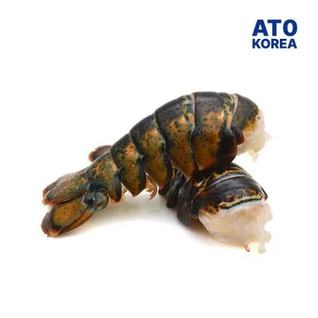 랍스터테일 4OZ 4.54kg 1박스