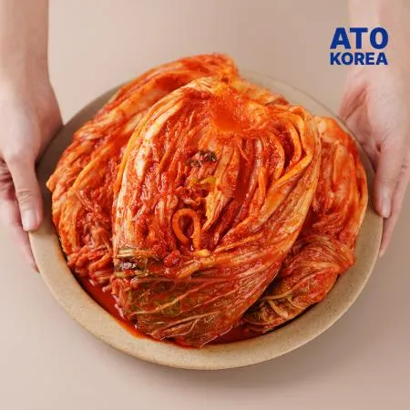 업소용 프리미엄 배추김치 10kg_아이스박스배송