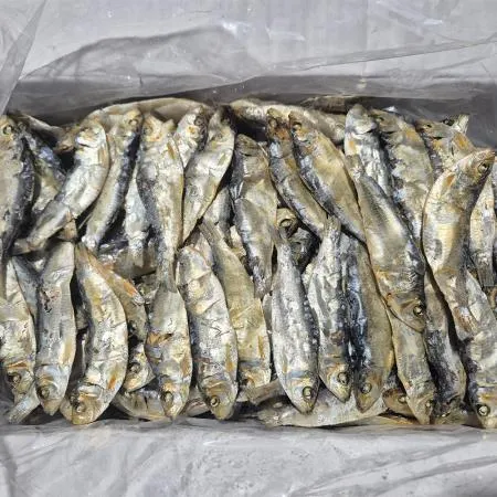 AAA급 마른 밴댕이 1.5kg (9~11cm) 국물 다시 육수용 멸치 디포리  이미지