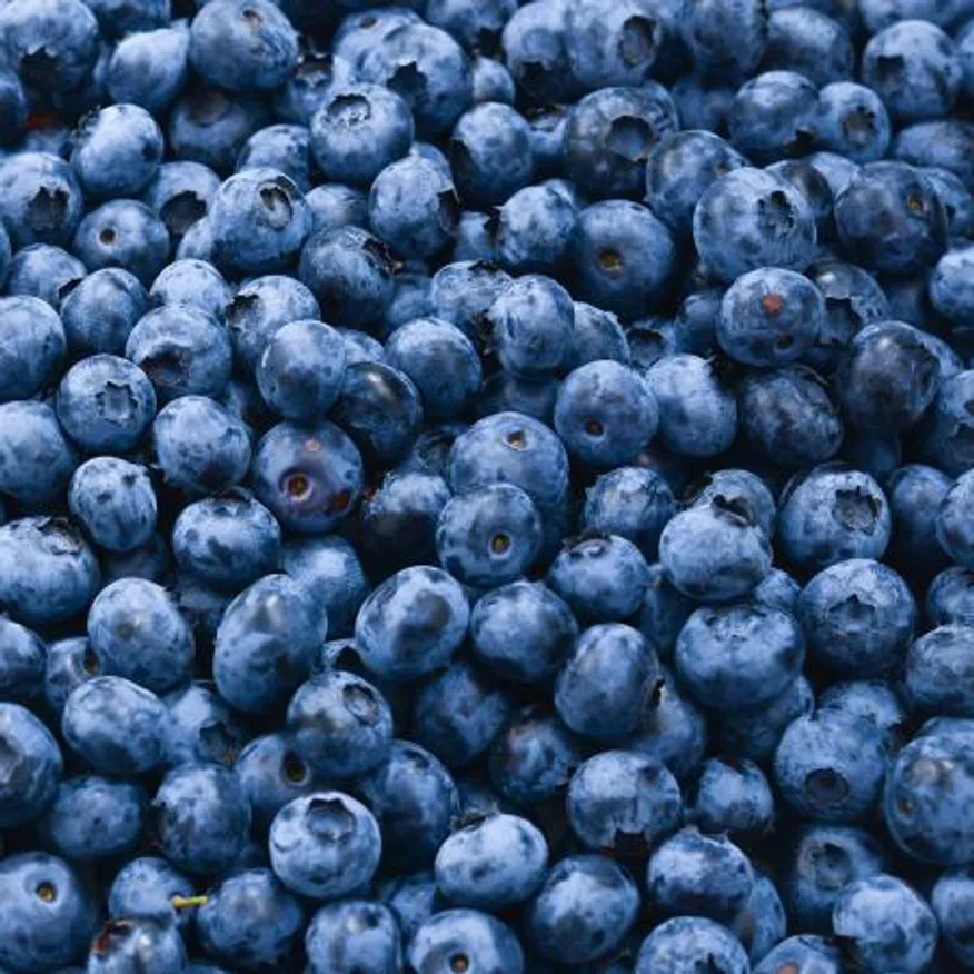 향이 진한 프리미엄등급 냉동 블루베리 1kg 중국산 이미지