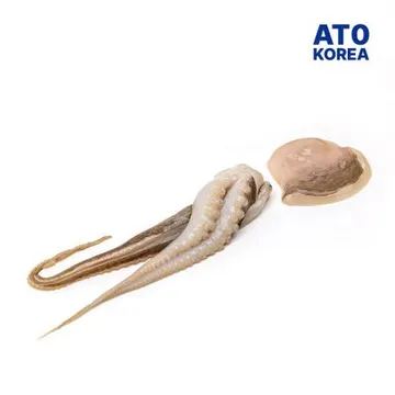 베트남 절단쭈꾸미 M 3kg _ 일반제품