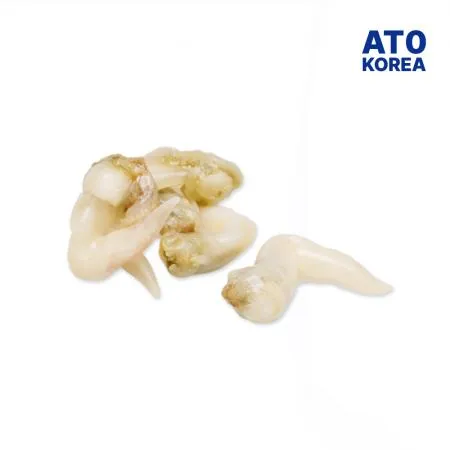 급속냉동 새조개살 1kg