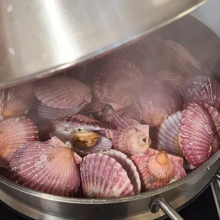 국산 냉동 홍가리비 2kg 대용량 업소용 가리비 구이 찜 이미지