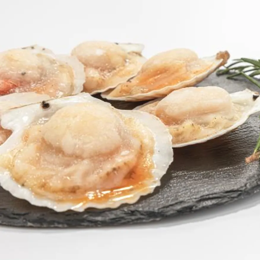 반가리비 5/6미 1.8kg 1박스 이미지