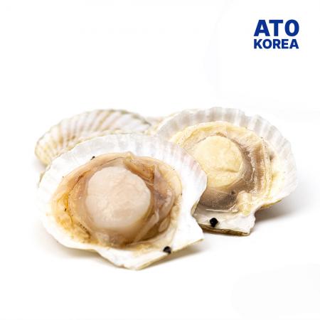 반가리비 7/8미 1.8kg 1박스