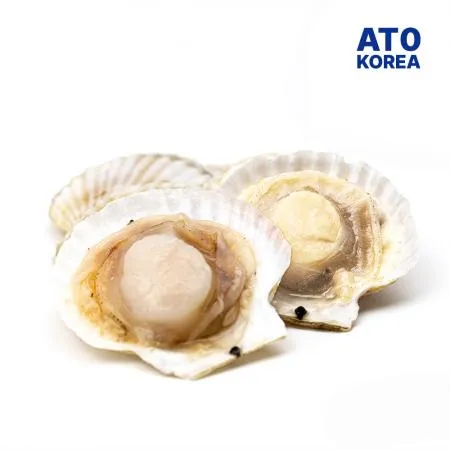 반가리비 7/8미 1.8kg 1박스