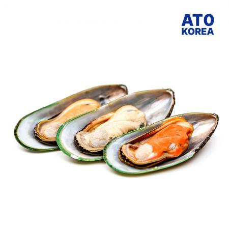 그린홍합 M 800g 1팩