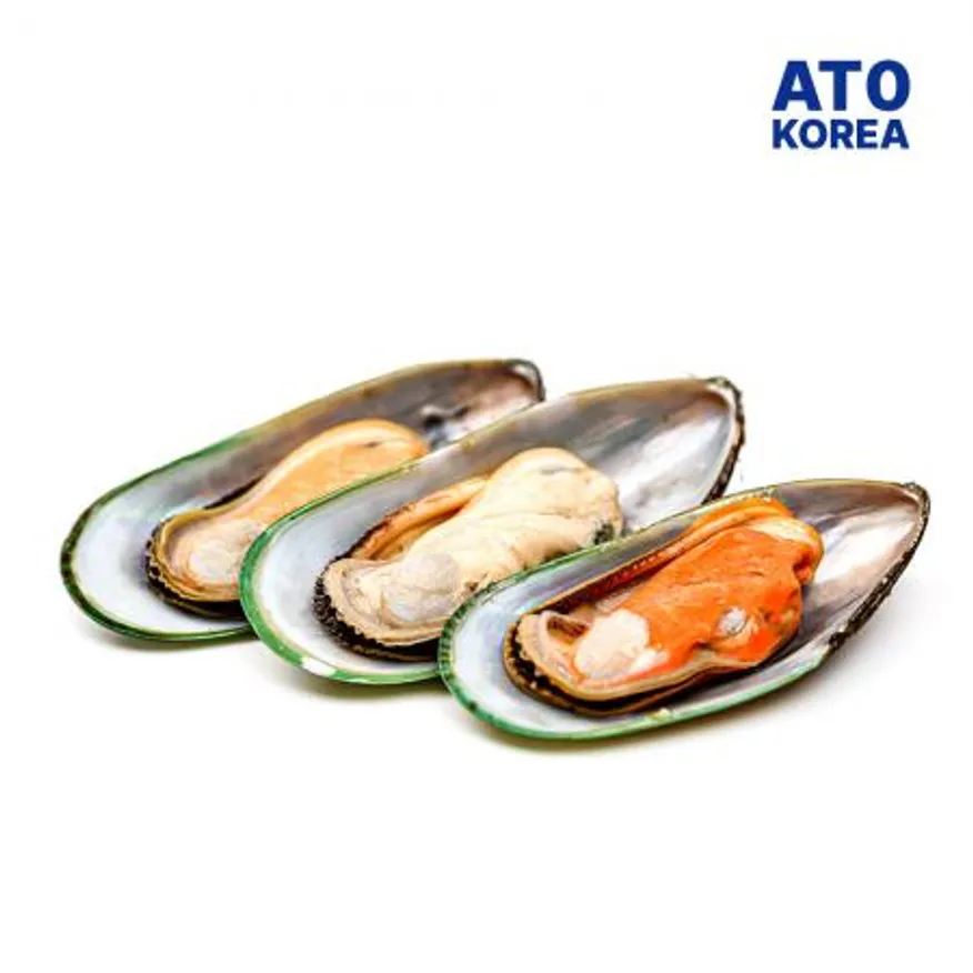 그린홍합 M 800g 1팩 이미지