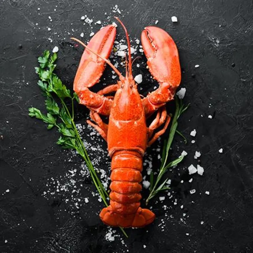 캐나다 자숙 랍스터 4.54kg 10-11미 냉동 랍스타 이미지
