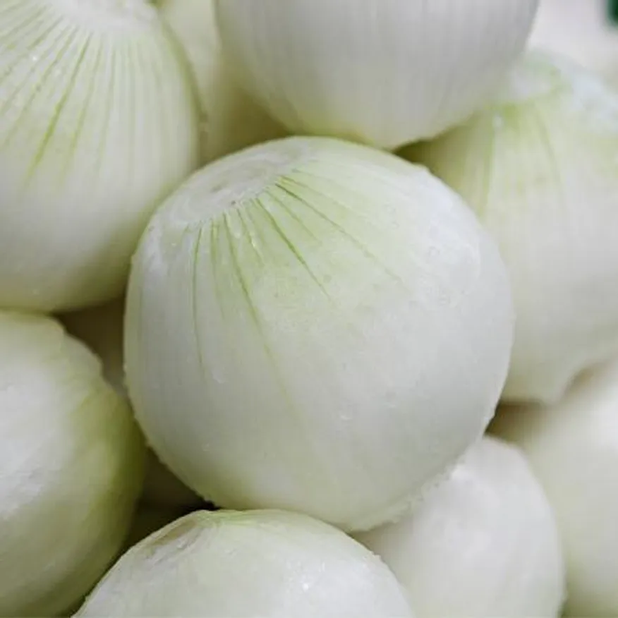 SNP의 국내산100% 최저가 깐양파10kg (대) 이미지