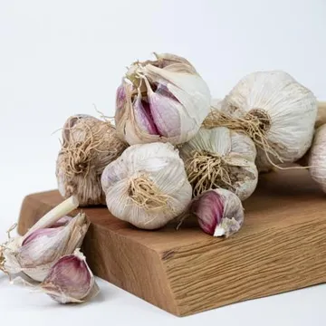 SNP의 국내산100% 최저가 햇마늘10kg (대)