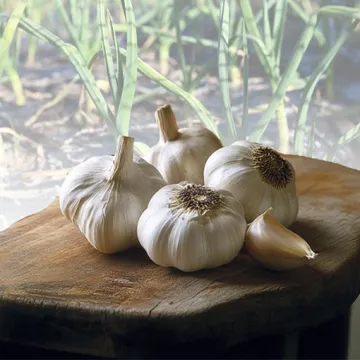 SNP의 국내산100% 최저가 남도마늘 반접(2.5kg) (중)