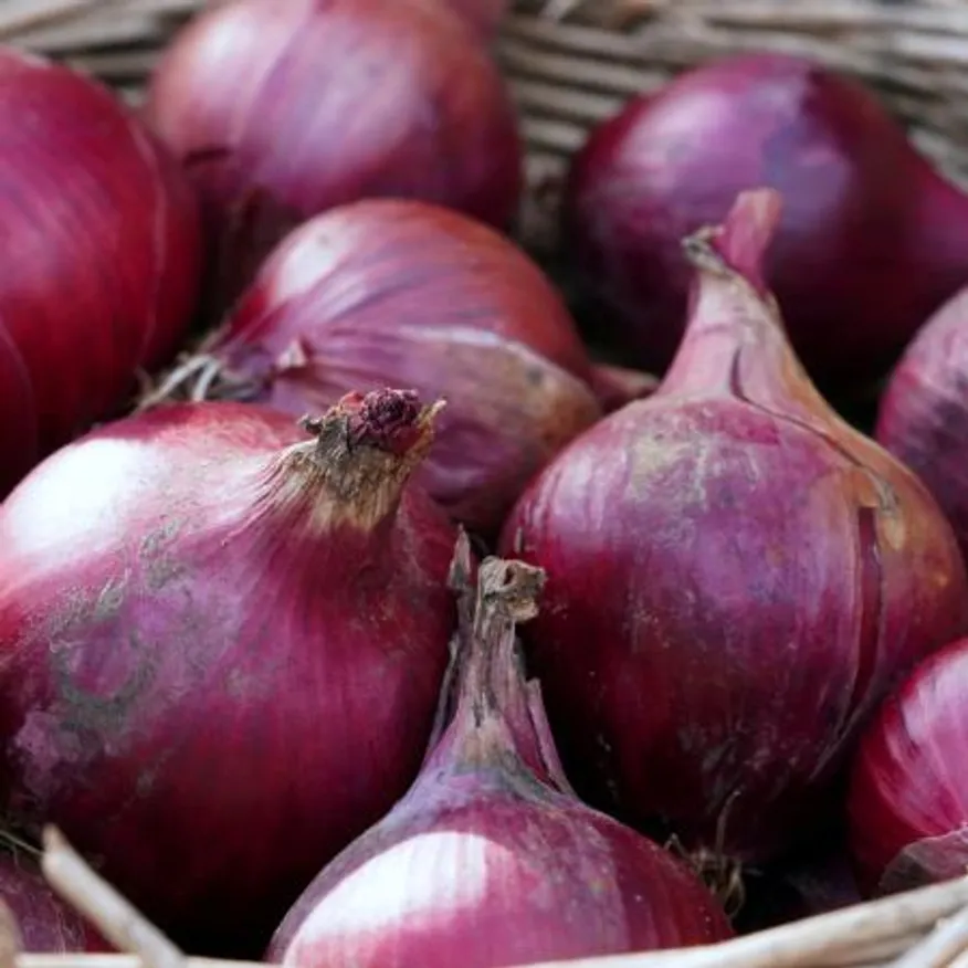 SNP의 국내산100% 최저가 신선 적양파5kg (대) 이미지