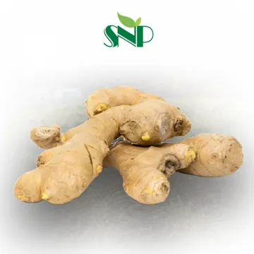 SNP의 국내산100% 신선 생강 2kg