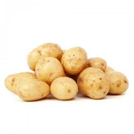SNP의 국내산100% 최저가 신선 감자5kg (대)