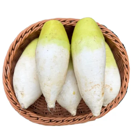 [한끼양념채소]국산100% 최저가 신선 무 5kg