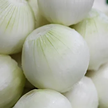 SNP의 국내산100% 최저가 깐양파10kg (소.갈용.파지)