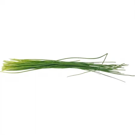 그린팜 생 차이브 100g
