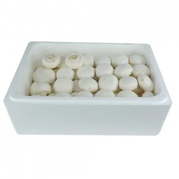 그린팜 생 양송이 2kg 1박스