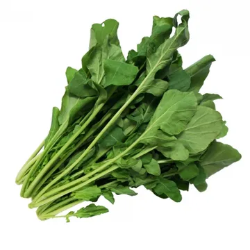 그린팜 생 루꼴라 300g