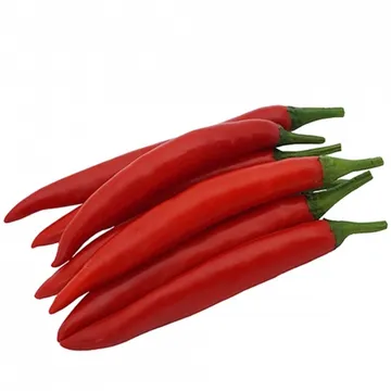 그린팜 생 홍고추 300g