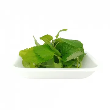 그린팜 생 레몬밤 10g 1팩