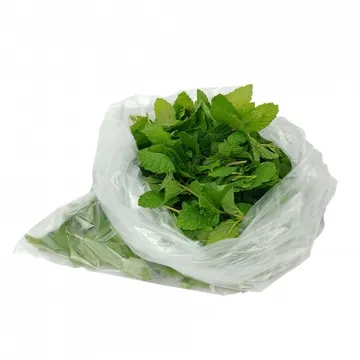 그린팜 생 스피아민트 100g