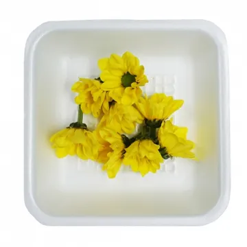 그린팜 장식용 생 소국 약 7송이 1팩