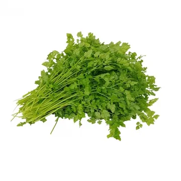 그린팜 생 처빌 100g