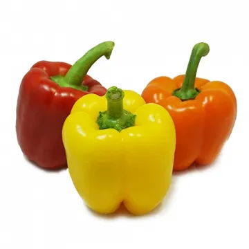 그린팜 생 삼색 파프리카 3개입 약 420g