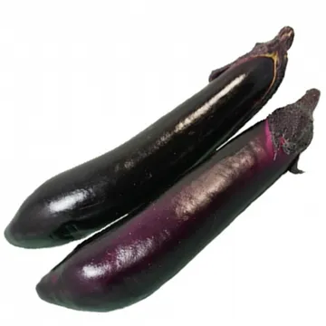 그린팜 생 가지 1개입