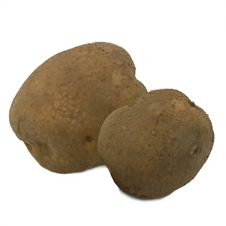 그린팜 생 감자 10kg (국산)