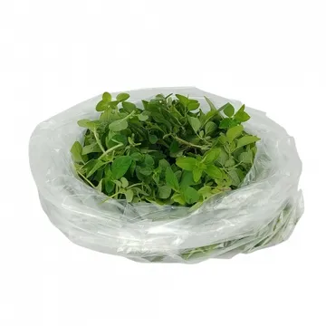 그린팜 생 오레가노 100g