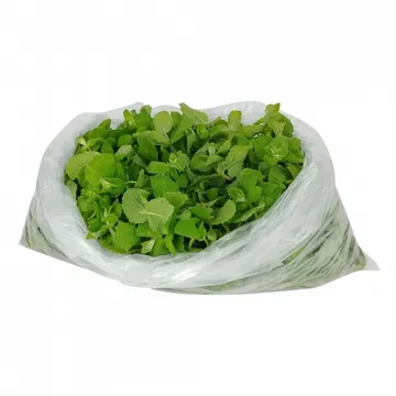 그린팜 생 애플민트 500g