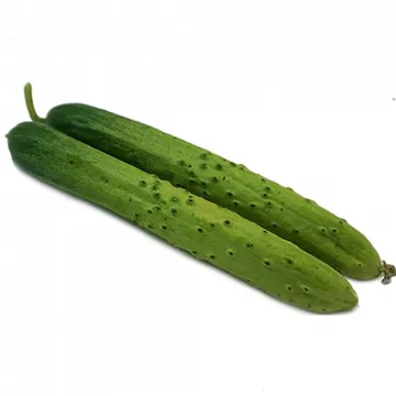 그린팜 생 백오이 10개입