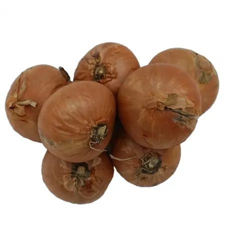 그린팜 생 샬롯 5kg