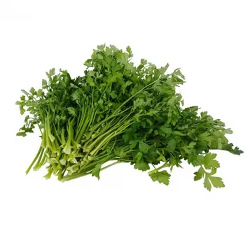 그린팜 생 이태리파세리 300g