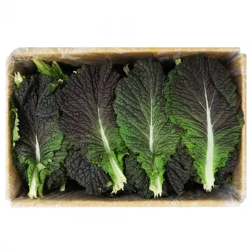 그린팜 생 적겨자 약 1.8kg