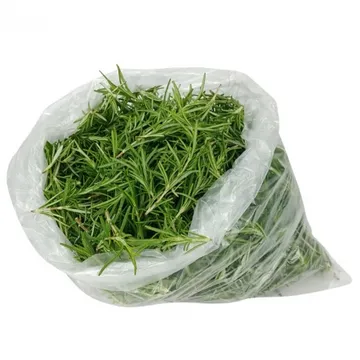 그린팜 생 로즈마리 500g