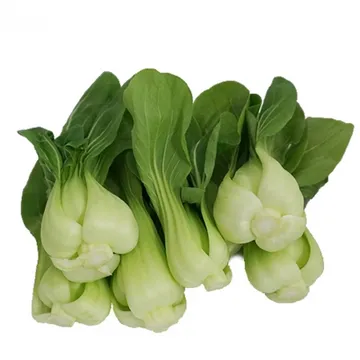 그린팜 생 청경채 500g