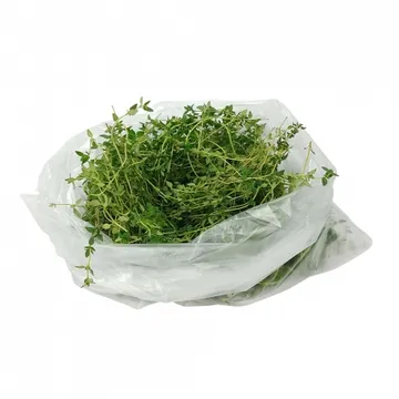 그린팜 생 타임 약 100g