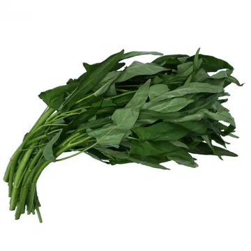 그린팜 생 공심채 1kg