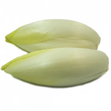 그린팜 생 엔다이브 약 150g 1통