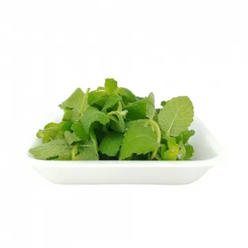 그린팜 생 애플민트 약 10g 1팩